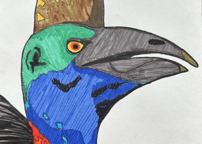 Cassowary Bird